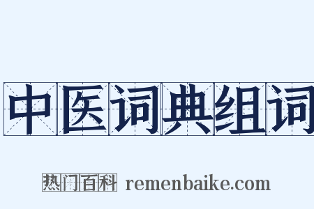 中医词典组词是什么意思的图片
